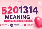 5201314 meaning