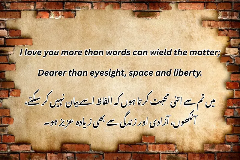 I love you more than words can wield the matter; Dearer than eyesight, space and liberty.