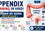 appendix meaning in hindi