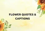 flower captions for instagram
