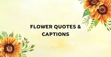 flower captions for instagram