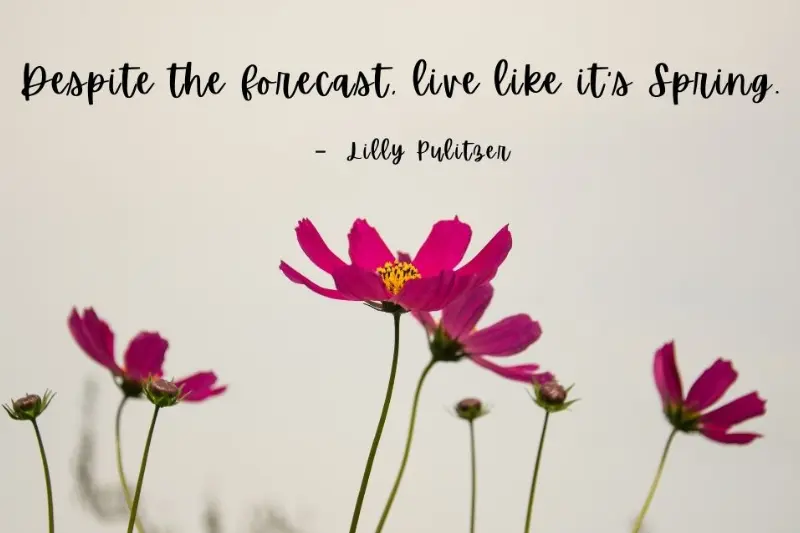 flowers captions for instagram