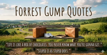 Bench with suitcases and quotes.