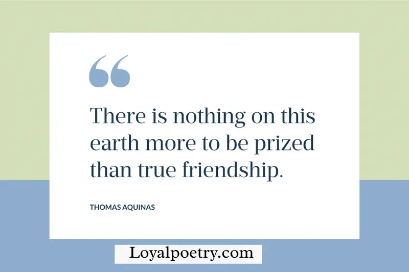 friendship english captions