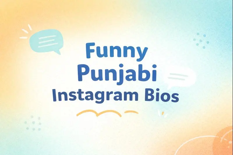 funny punjabi instagram bios