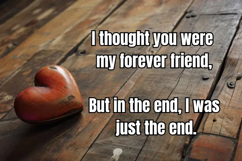 i thought you were my forever friend, but in the end, i was just the end