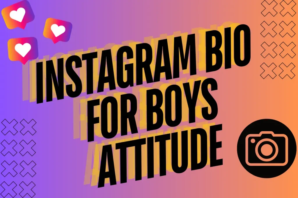 instagram bio attitude lines