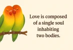love birds quotes