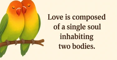 love birds quotes