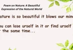 poem on nature a beautiful expression of the natural world