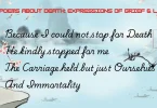 poems about death expressions of grief & love