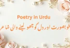 poetry in urduخوبصورت اور دل کو چھو لینے والی شاعری