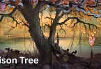 poison tree