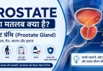 prostate meaning in hindi