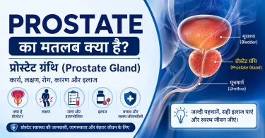 prostate meaning in hindi