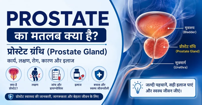 prostate meaning in hindi