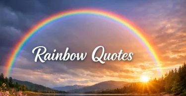 rainbow quotes