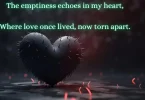 sad poetry serves as a powerful emotional