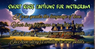 short rose captions for instagram
