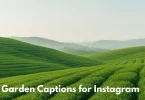 tea garden captions for instagram