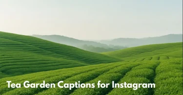 tea garden captions for instagram
