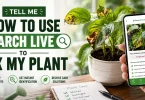 tell me how to use search live to fix my plant