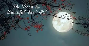the moon Is beautiful, isn’t it