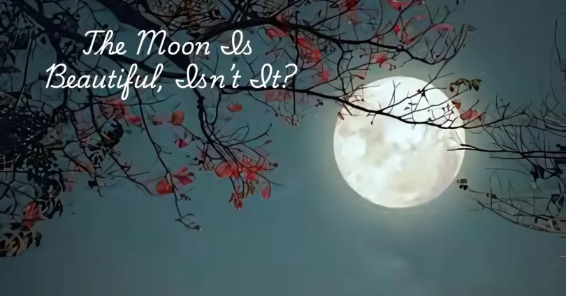 the moon Is beautiful, isn’t it