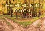 the road not taken