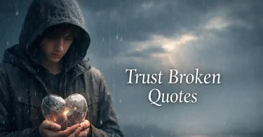 trust broken quotes