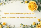 tujhse chahat ki koi wajah nahi hai, par tujhe chahna ab aadat ban gayi hai.