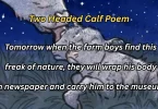 two headed calf poem