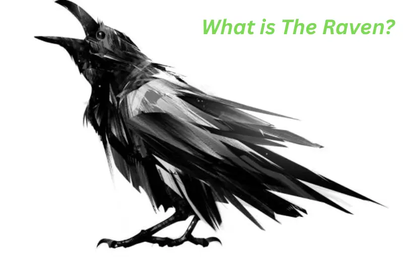 what is the Raven