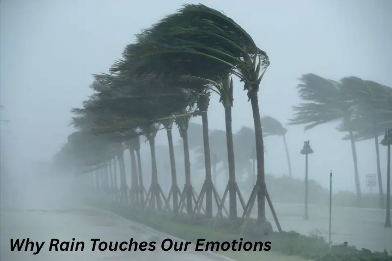 why rain touches our emotions