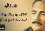 اقبال کی شاعری کا مرکزی خیال