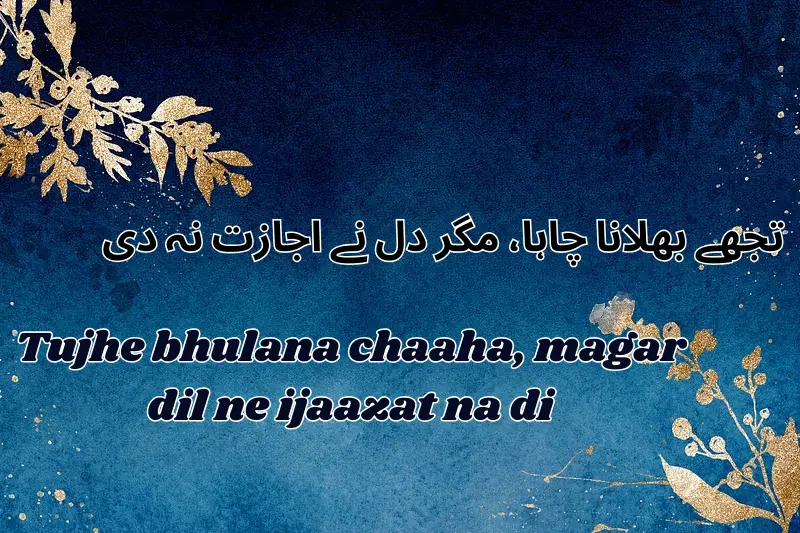 تجھے بھلانا چاہا، مگر دل نے اجازت نہ دی