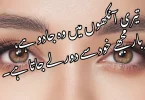 تیری آنکھوں میں وہ جادو ہے، جو ہر بار مجھے خود سے دور لے جاتا ہے۔