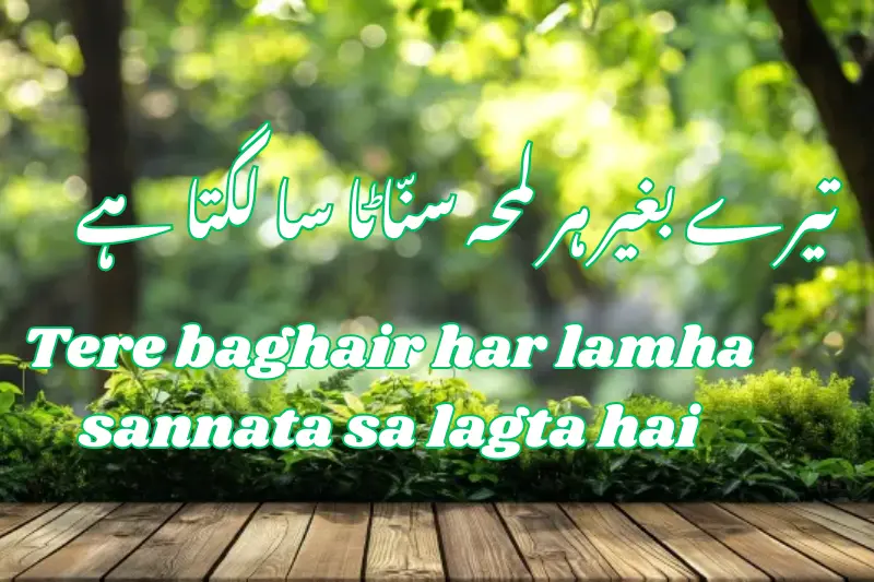 تیرے بغیر ہر لمحہ سنّاٹا سا لگتا ہے