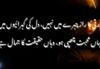 خوبصورتی کا راز چہرے میں نہیں، دل کی گہرائیوں میں ہے جہاں محبت چھپی ہو، وہاں حقیقت کا جمال ہے