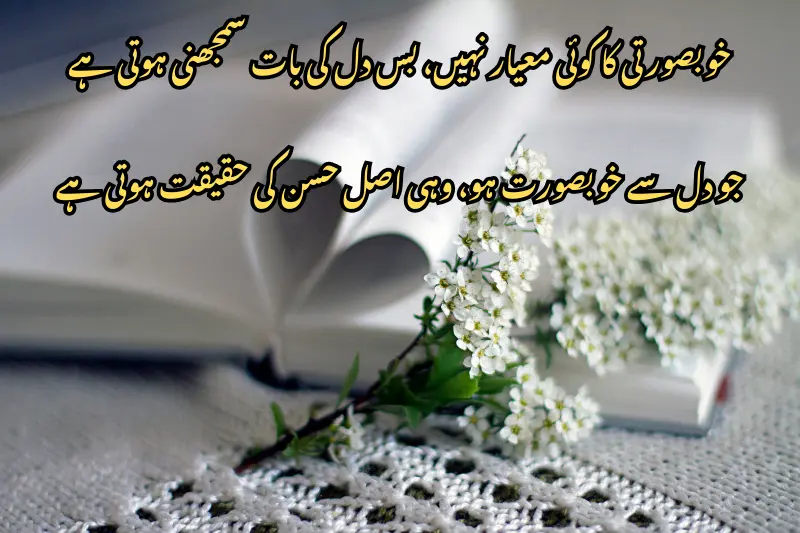 خوبصورتی کا کوئی معیار نہیں، بس دل کی بات سمجھنی ہوتی ہے جو دل سے خوبصورت ہو، وہی اصل حسن کی حقیقت ہوتی ہے