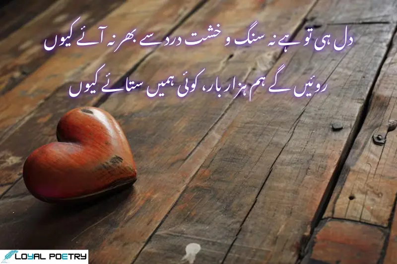 دل ہی تو ہے نہ سنگ و خشت درد سے بھر نہ آئے کیوں روئیں گے ہم ہزار بار، کوئی ہمیں ستائے کیوں