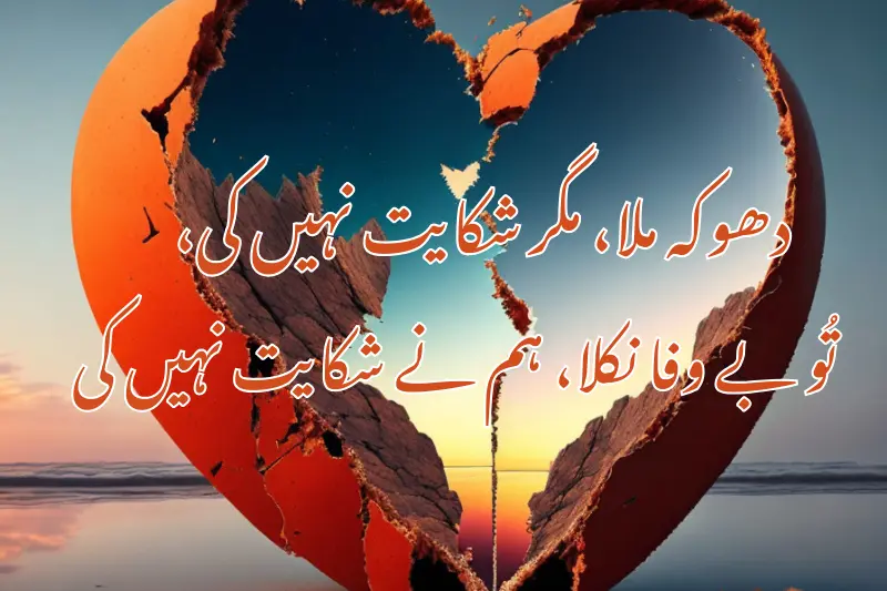 دھوکہ ملا، مگر شکایت نہیں کی،