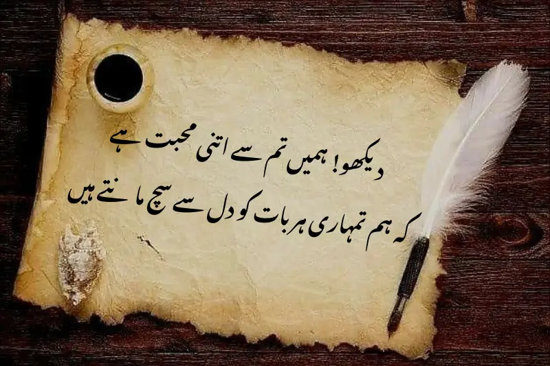 دیکھو! ہمیں تم سے اتنی محبت ہے، کہ ہم تمہاری ہر بات کو دل سے سچ مانتے ہیں۔