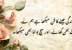 زندگی جینے کا فن سیکھا ہے ہم نے، دھوکے بھی کھائے، اور سچ بولنا بھی سیکھا۔