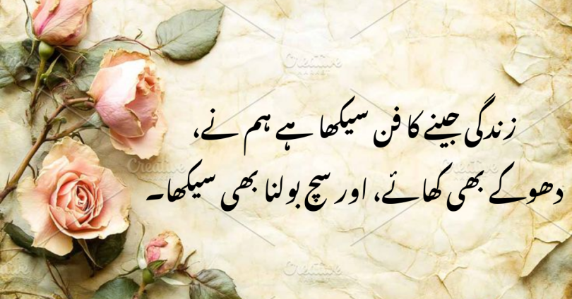 زندگی جینے کا فن سیکھا ہے ہم نے، دھوکے بھی کھائے، اور سچ بولنا بھی سیکھا۔