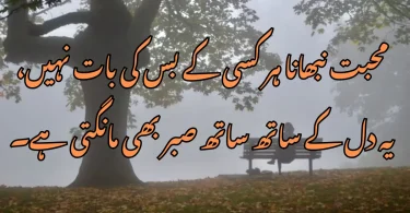 محبت نبھانا ہر کسی کے بس کی بات نہیں، یہ دل کے ساتھ ساتھ صبر بھی مانگتی ہے۔