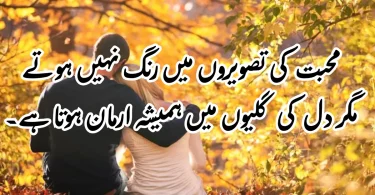 محبت کی تصویروں میں رنگ نہیں ہوتے، مگر دل کی گلیوں میں ہمیشہ ارمان ہوتا ہے۔