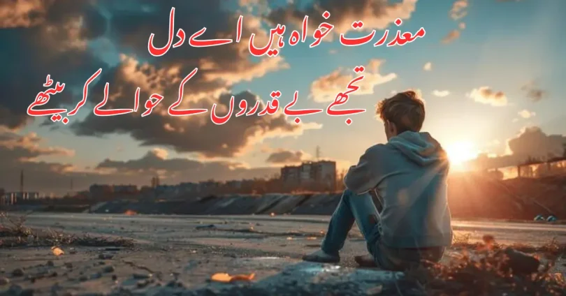 معذرت خواہ ہیں اے دل تجھے بے قدروں کے حوالے کر بیٹھے