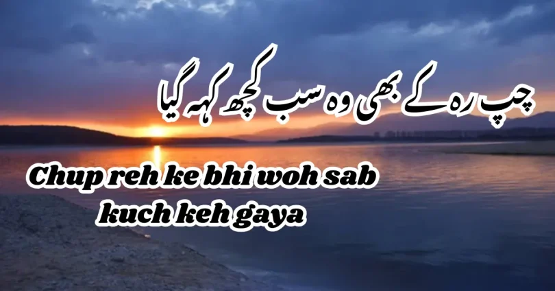 چپ رہ کے بھی وہ سب کچھ کہہ گیا