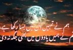 ہم نے تمہیں دل میں بسا رکھا ہے، تم نے ہمیں یادوں میں بھی جگہ نہ دی۔